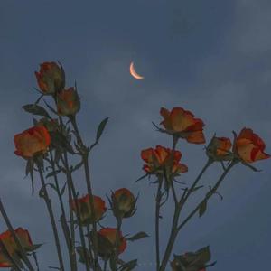 盐娍led灯具厂家用小驴营销导航
