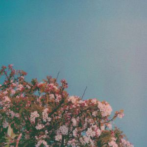 盐娍led灯具厂家用小驴营销导航
